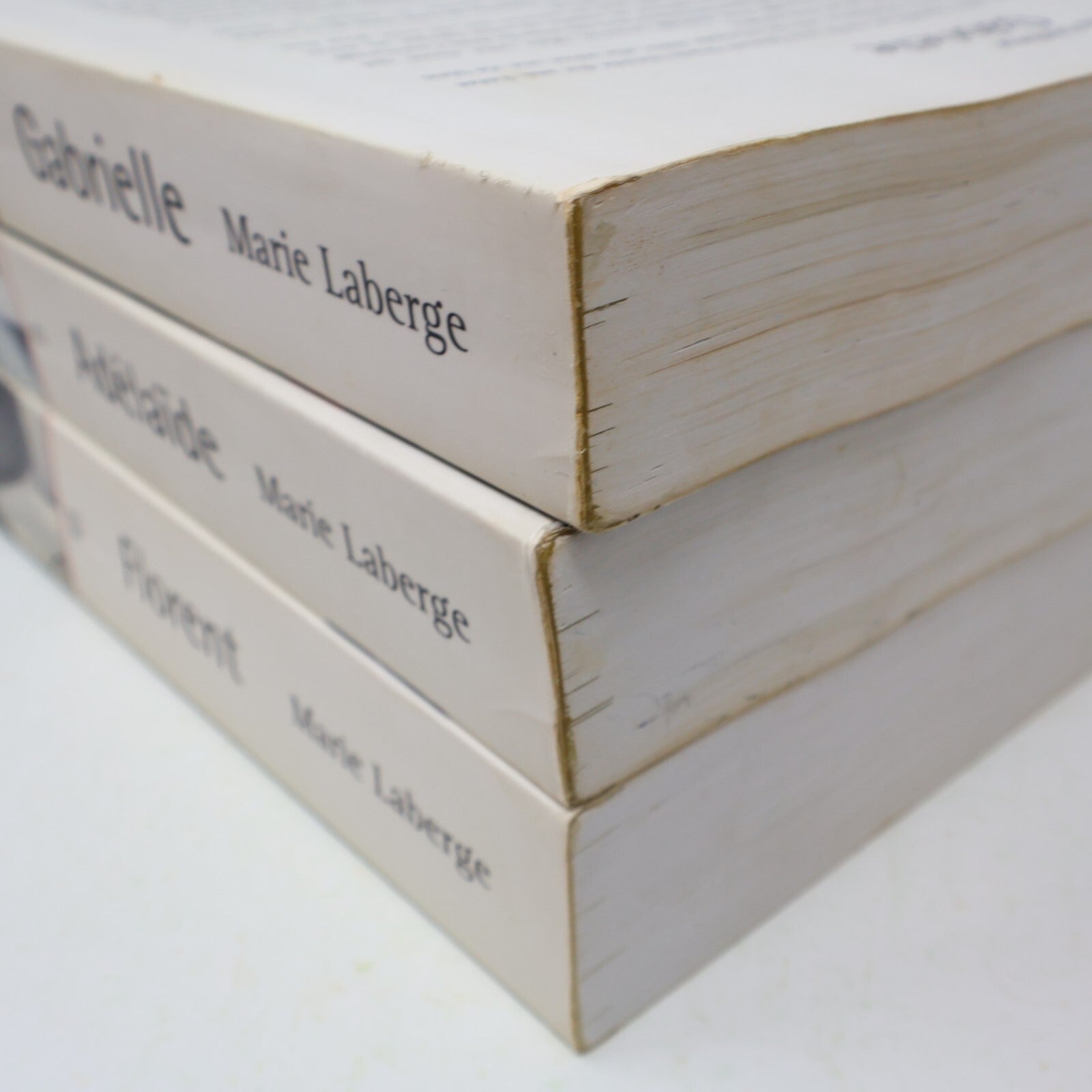 Le Goût du Bonheur #1-3 Fiction Historique Québec Lot 3 Livres Marie Laberge PB