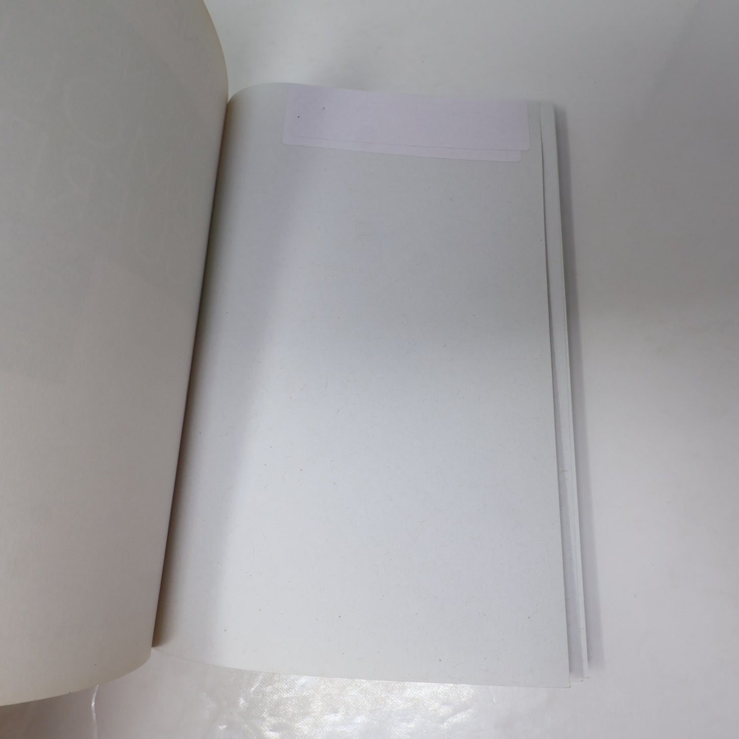 Santé Guérison Médecines Alternatives Lot 5 Livres Français Rankin/Angelard PB