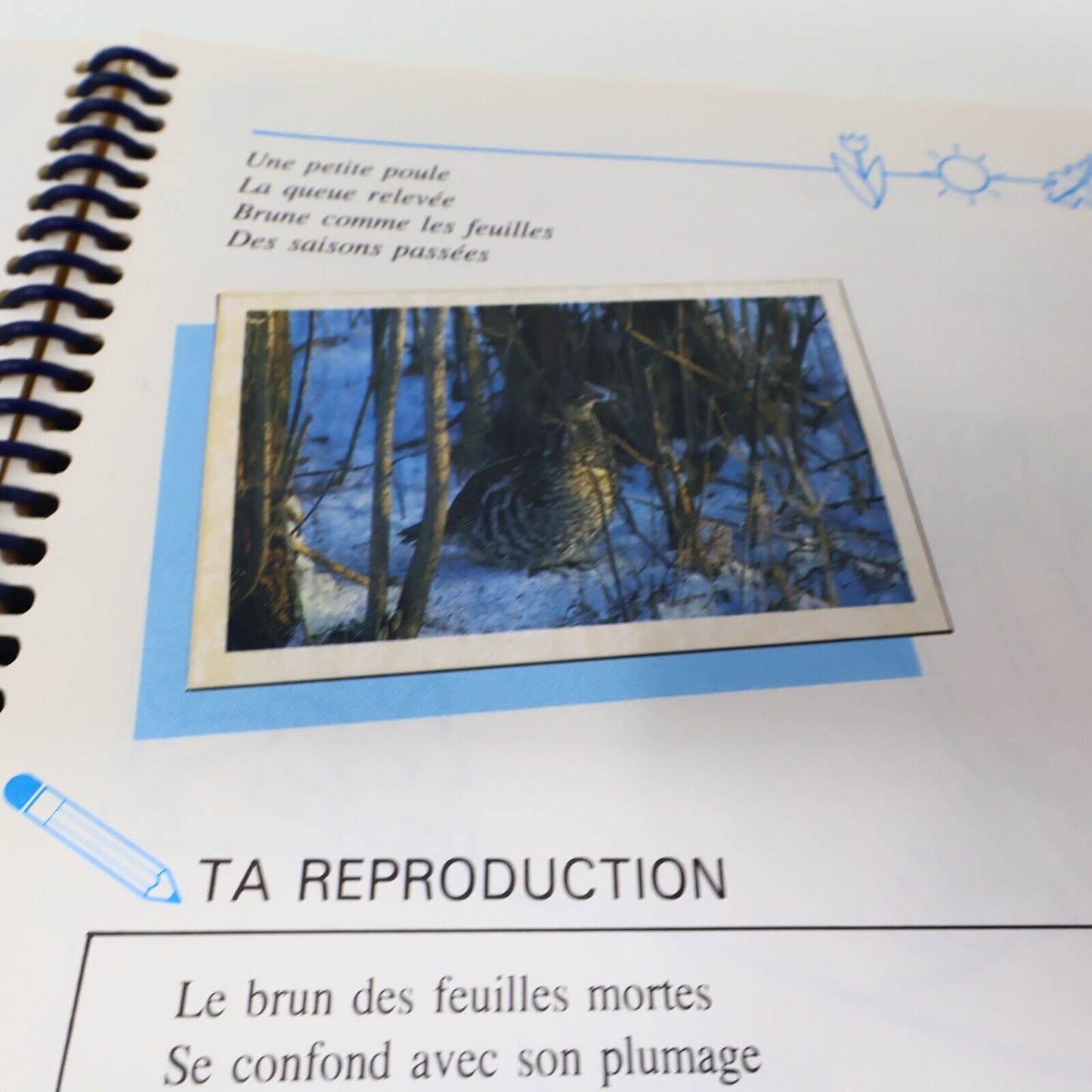 1989 S'Appivoiser aux Oiseaux Suzanne Brûlotte Susy le Brun La Collection Plume