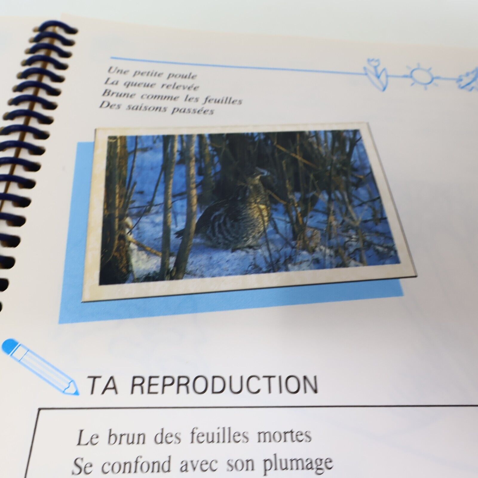 1989 S'Appivoiser aux Oiseaux Suzanne Brûlotte Susy le Brun La Collection Plume