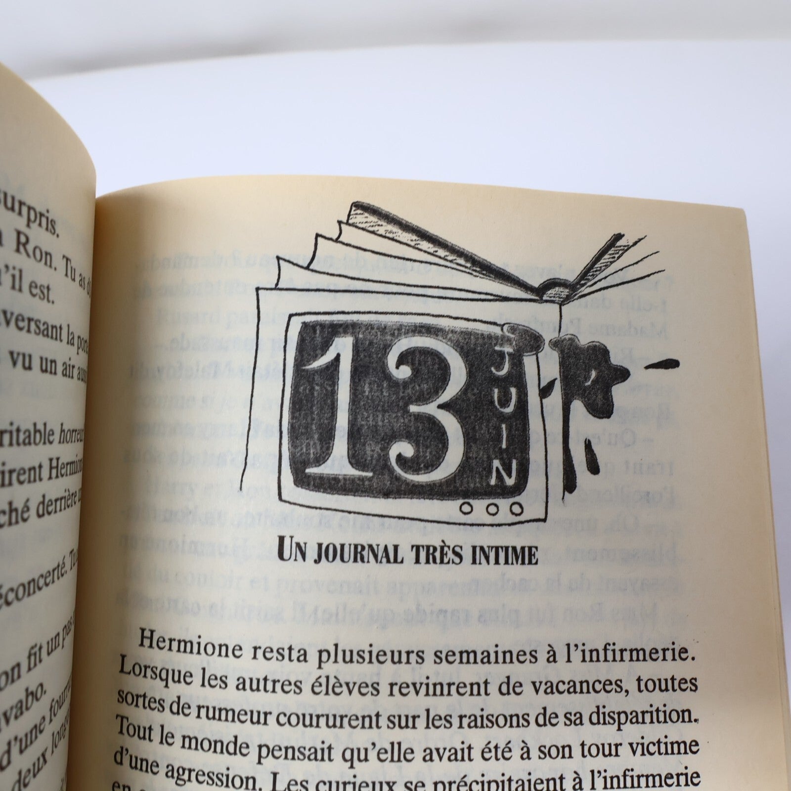 Harry Potter et la Chambre des Secrets Livre Première Édition Illustrée Mar 1999