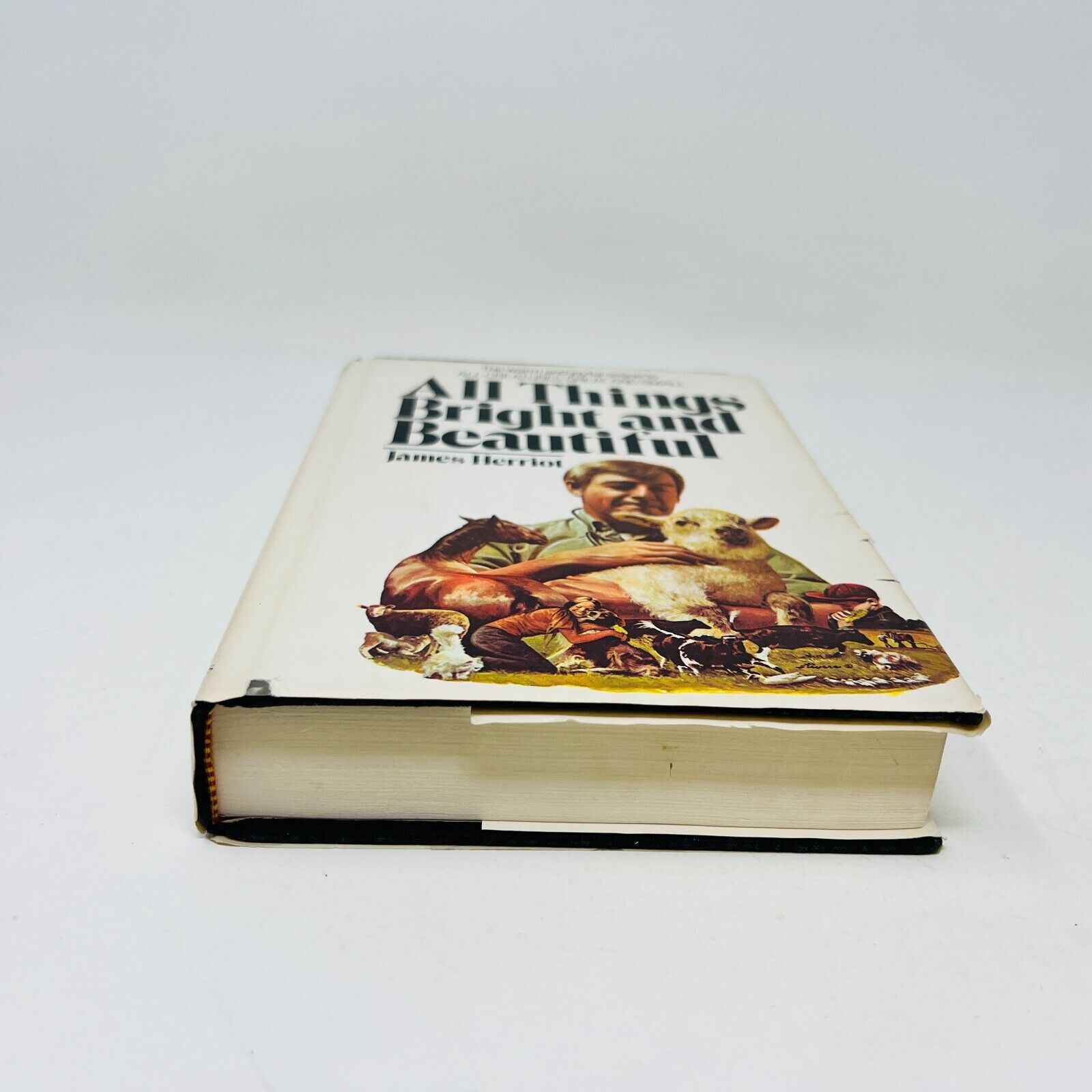 1974 All Things Bright and Beautiful Hardcover DJ by James Herriot 1st Edition