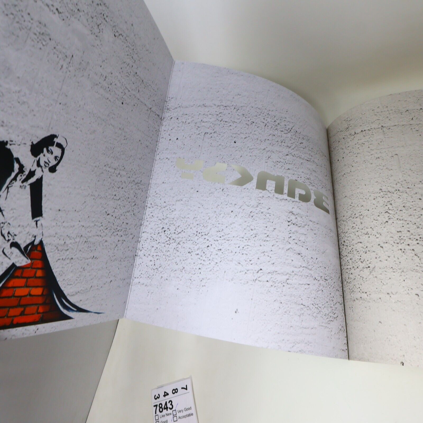Exposition the Art of Banksy Tansel Baybara Français French Paperback Catalogue